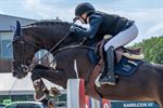 588 paarden openen Sentower Sun Classic