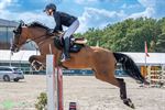 588 paarden openen Sentower Sun Classic