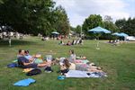 Picknickfestival aan Paalse Plas