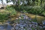 Natuurherstel langs Paalse Plas