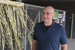 Een gouden onthaal in Paal