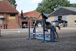 Opendeur Dagen van het Paard