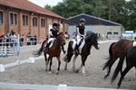 Opendeur Dagen van het Paard