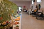 Hobbytentoonstelling Ferm Tervant