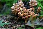 Heerlijk herfstweer