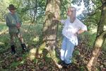 Beverwatchers beschermen oude bomen