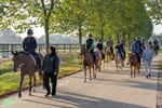 Sint-Trudo jaagt op titel LRV Topclub