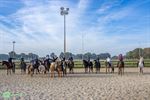 Sint-Trudo jaagt op titel LRV Topclub