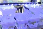 Geslaagde opendeurdag voor Aquariumclub Beringen