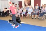 Dansende honden zorgen voor veel plezier
