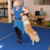 Dansende honden zorgen voor veel plezier