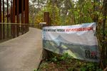 Recordopkomst voor Loop & Wandel door de Bomen