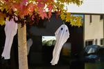 Het spookt in Leopoldsburg