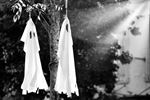 Het spookt in Leopoldsburg