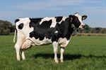 Ook Ans haalt de kaap van 100.000 liter