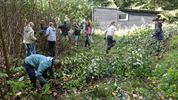 Leerlingen De Geluksvlinder helpen Natuurpunt