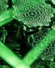 Lichtfestival Luminatura komt naar Beringen