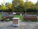 Mooie herfstkleuren op de begraafplaatsen