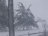 'Het sneeuwt bij ons!'