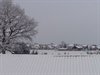 Wit van de sneeuw