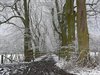 Wit van de sneeuw