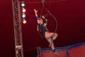 Een namiddagje in het circus