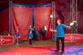 Een namiddagje in het circus