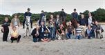 Dravende paarden voor de fotografen