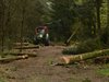 Bomen weg voor molen