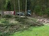 Bomen weg voor molen