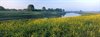 Limburgse landschapsfoto's in Dommelhof