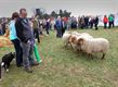 Molenfeesten op Kattenbos