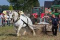 Veel volk (en paarden)... (2)