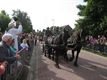 Dieren- en tractorenwijding op 't Sonnis