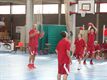 Lommels basket springlevend