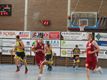 Lommels basket springlevend