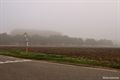 Platteland in de mist