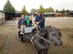 De grootouders in de klas