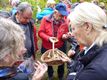 Paddenstoelen zoeken met Pasar