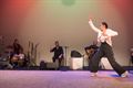 Flamenco in Dommelhof