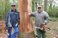 Houtsculptuur krijgt vorm in parkbos