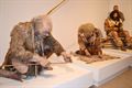 Museum 'De Kolonie' heropend