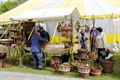 Geslaagde Flora en Open Molendag in Kattenbos