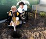De koningsboom is geplant