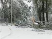 Brandweer moet uitrukken voor sneeuwval