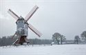 De molen in de mist