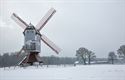 De molen in de mist