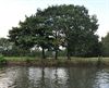 De blauwe promenade
