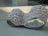 Tentoonstelling ‘Sandbox’ in Glazen Huis