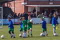 Jong talent gescout bij KVK Beringen